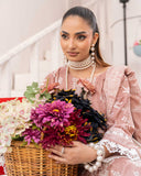 Grace Hazel By Aalaya Winter Vol 14 '25 D 03