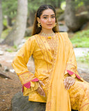 Man Pasand By Aalaya Winter Vol 02 '25 D 05