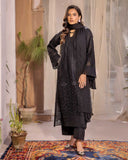 Noor E Chasham by Aalaya Summer Vol 05 '25 D 06