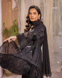 Noor E Chasham by Aalaya Summer Vol 05 '25 D 06