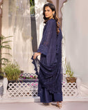 Noor E Chasham by Aalaya Summer Vol 05 '25 D 10