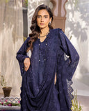 Noor E Chasham by Aalaya Summer Vol 05 '25 D 10