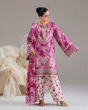 Special Edition by Aalaya Winter Vol 02 '26 D 02