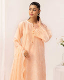 Nayaab by Aalaya Summer Vol 02 '25 D 05