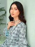 Rang e Mehtab by Aalaya Winter Vol 01 '24 D 03