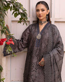 Noor E Chasham by Aalaya Summer Vol 03 '25 D 03