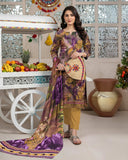 Ras Bhari By Aalaya Winter Vol 02 '25 D 03