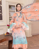 Rang Bhari By Aalaya Summer Vol 07 '25 D 04