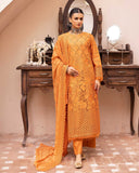 Noor E Chasham by Aalaya Summer Vol 03 '25 D 04