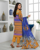 Ras Bhari By Aalaya Winter Vol 03 '25 D 04