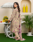 Rang Bhari By Aalaya Winter Vol 01 '25 D 05