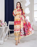 Pakeeza by Aalaya Summer Vol 01 '25 D 07