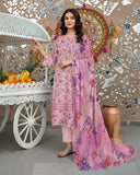 Rang Bhari By Aalaya Winter Vol 01 '25 D 07