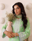 Special Edition by Aalaya Winter Vol 01 '26 D 07