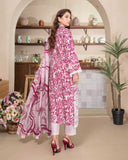 Grace Hazel By Aalaya Winter Vol 13 '25 D 08