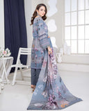 Pakeeza by Aalaya Summer Vol 01 '25 D 09