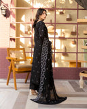 ShahKar by Aalaya Summer Vol 01 '26 D 08