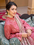 Anarkali By Aalaya Winter Vol 02 '24 D 06