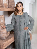 Andaz e Jahan By Aalaya Winter Vol 01 '24 D 05