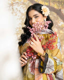 Roop Rangoli by Aalaya Summer Vol 04 '26 D 02