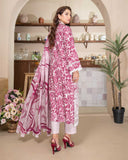 Grace Hazel By Aalaya Winter Vol 02 '25 D 02