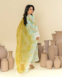 Roop Rangoli by Aalaya Summer Vol 01 '26 D 02