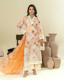 Roop Rangoli by Aalaya Summer Vol 01 '26 D 09