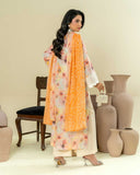 Roop Rangoli by Aalaya Summer Vol 01 '26 D 09