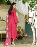 Shahkar By Aalaya Winter Vol 01 '25 D 04