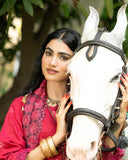 Shahkar By Aalaya Winter Vol 01 '25 D 04