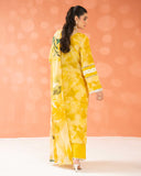 Kasak by Aalaya Summer Vol 01 '26 D 08