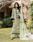 Versatile By Aalaya Summer Vol 02 '26 D 01