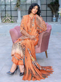 Kangana By Aalaya Winter Vol 04 '24 D 06