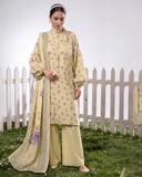 Nafeec By Aalaya Winter Vol 01 '26 D 02