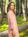 Nisa By Aalaya Lawn Vol 03 '24 D 09
