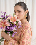 Peach Whisper By Aalaya Winter Vol 01 '26 D 10