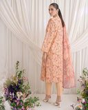 Peach Whisper By Aalaya Winter Vol 01 '26 D 10