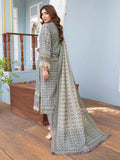 Ragni By Aalaya Lawn Vol 10 '24 D 09