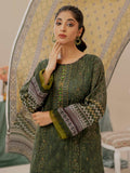 Ragni By Aalaya Lawn Vol 11 '24 D 05