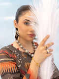 Ragni By Aalaya Lawn Vol 14 '24 D 06