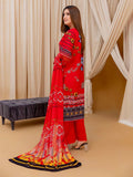 Rang E Ronak By Aalaya Lawn Vol 14 '24 D 03