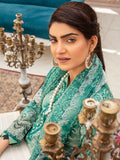 Rang E Ronak By Aalaya Lawn Vol 18 '24 D 10