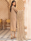 Alizeh Banarsi Brosha Winter Vol 01 D#04