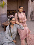 Pehnawa BY AALAYA Lawn Vol 01 '23 D#01