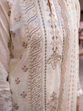 Pehnawa BY AALAYA Lawn Vol 01 '23 D#06